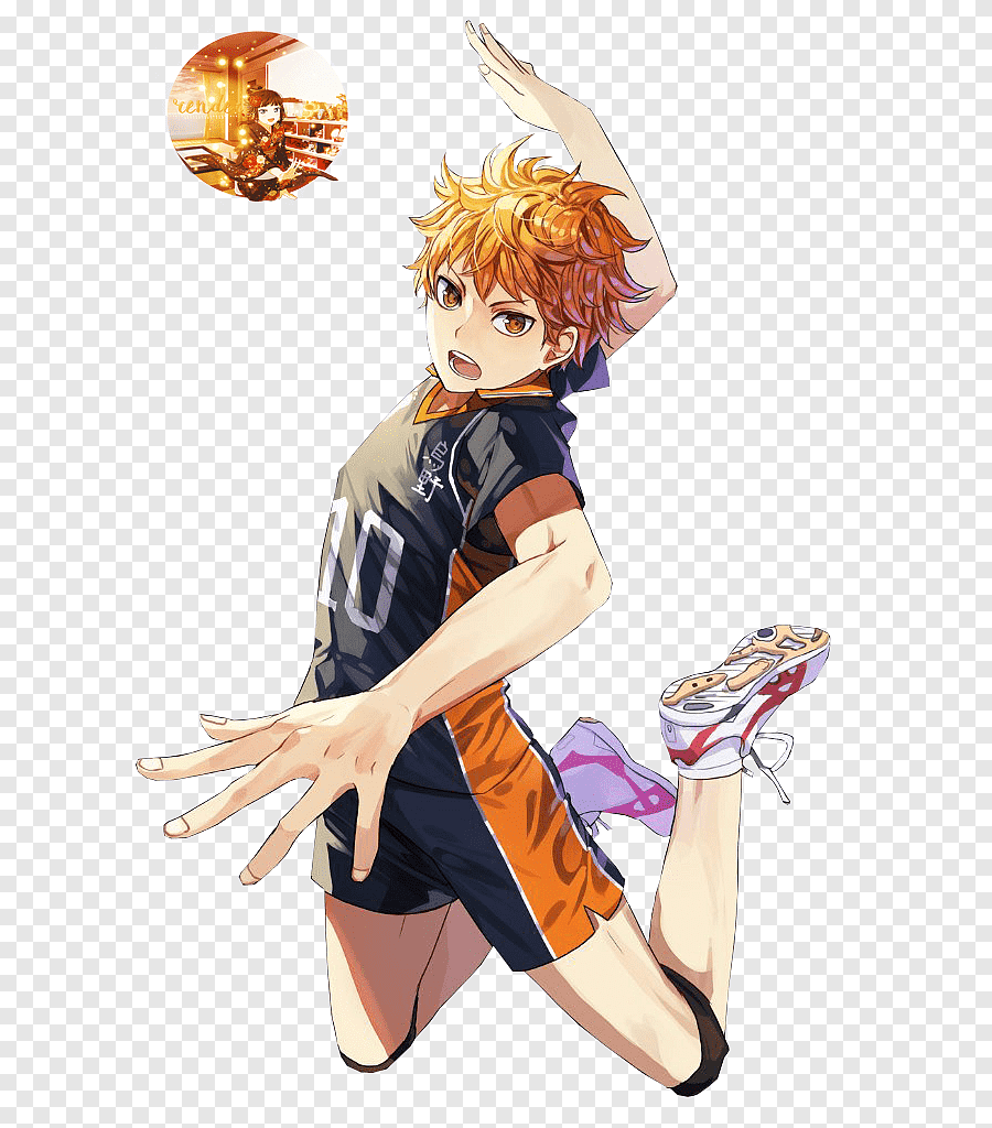 shoyo Hinata — Character